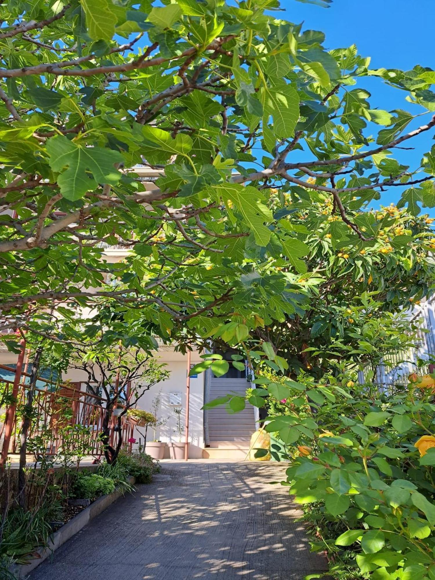 Apartman Adriatic Pavlinovic - Makarska Exterior foto